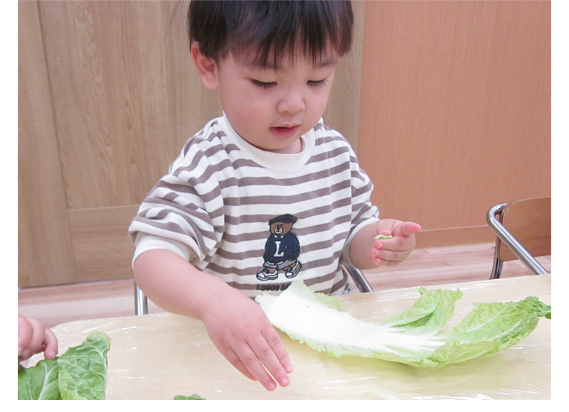 12月 もぐぱく通信 食育 とうもろこしの皮むき